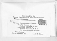 Image Associated With the Occurence